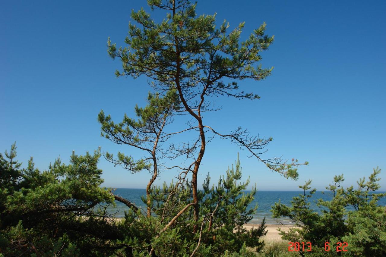 Pajurio Vingis Aparthotel Palanga Esterno foto